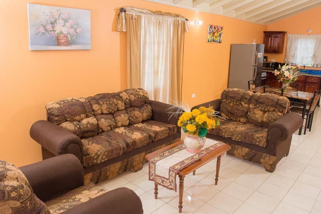 Perfect Vacation Villa Montego Bay Exterior photo